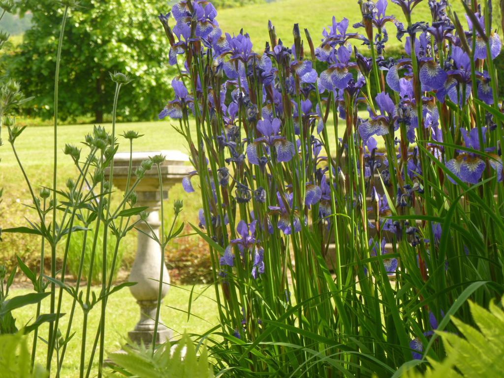 Llwyn Helyg Country House Guest House Carmarthen Eksteriør bilde